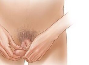 Exercicios de Jelqing para aumentar o pene