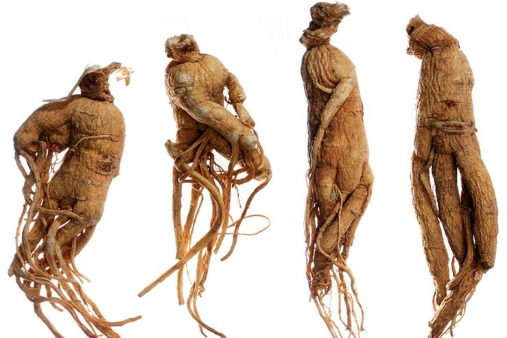 Raíz de ginseng para agrandar o pene
